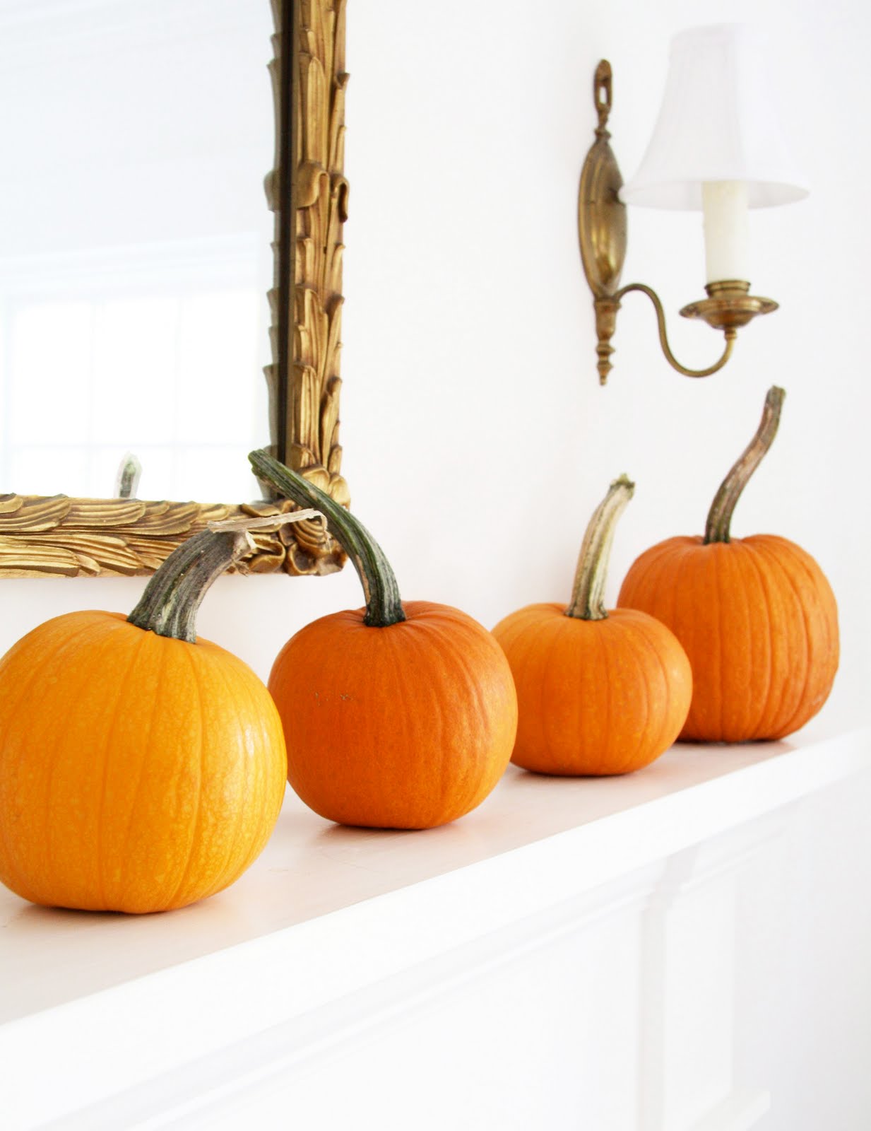 In the Fields Nesting Instincts