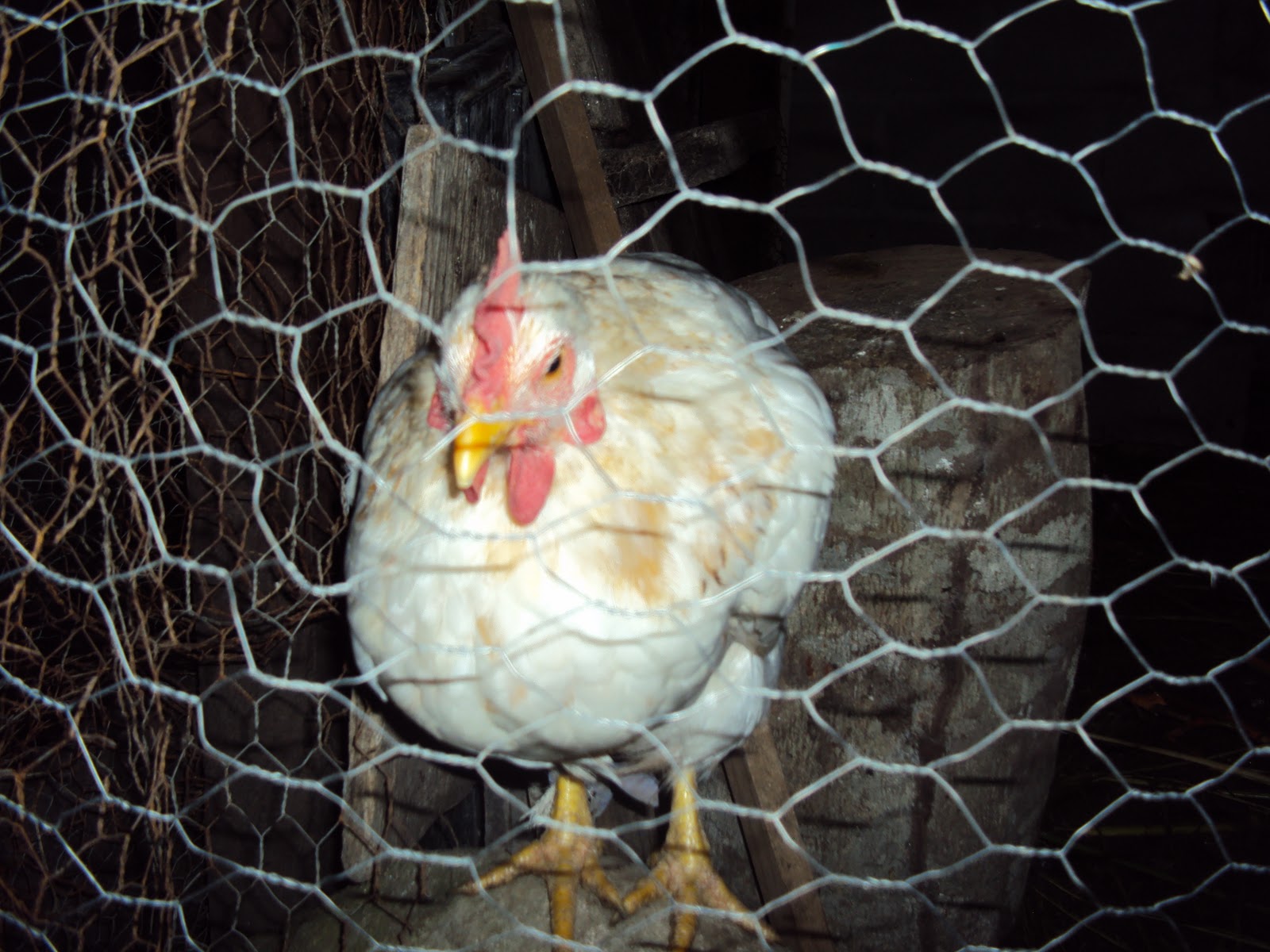 mi blog de informatica