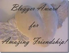 Blog Award - Amazing Friendships
