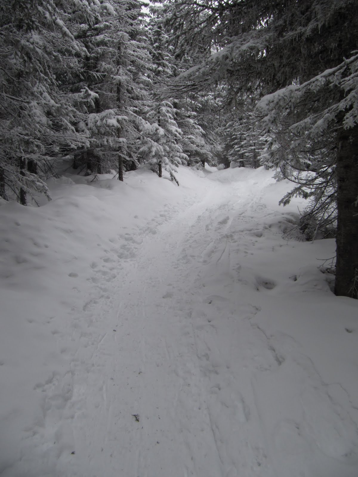 Backpacker Rose Snowshoeing Mount Spokane