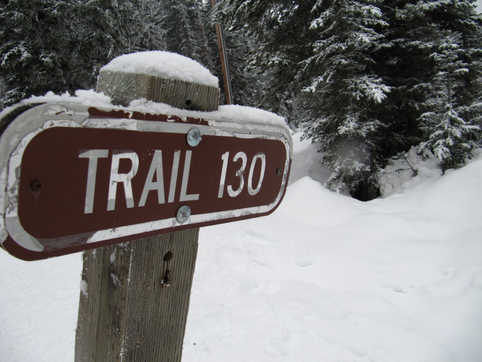 Backpacker Rose Snowshoeing Mount Spokane