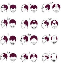 Life Style: January 2011