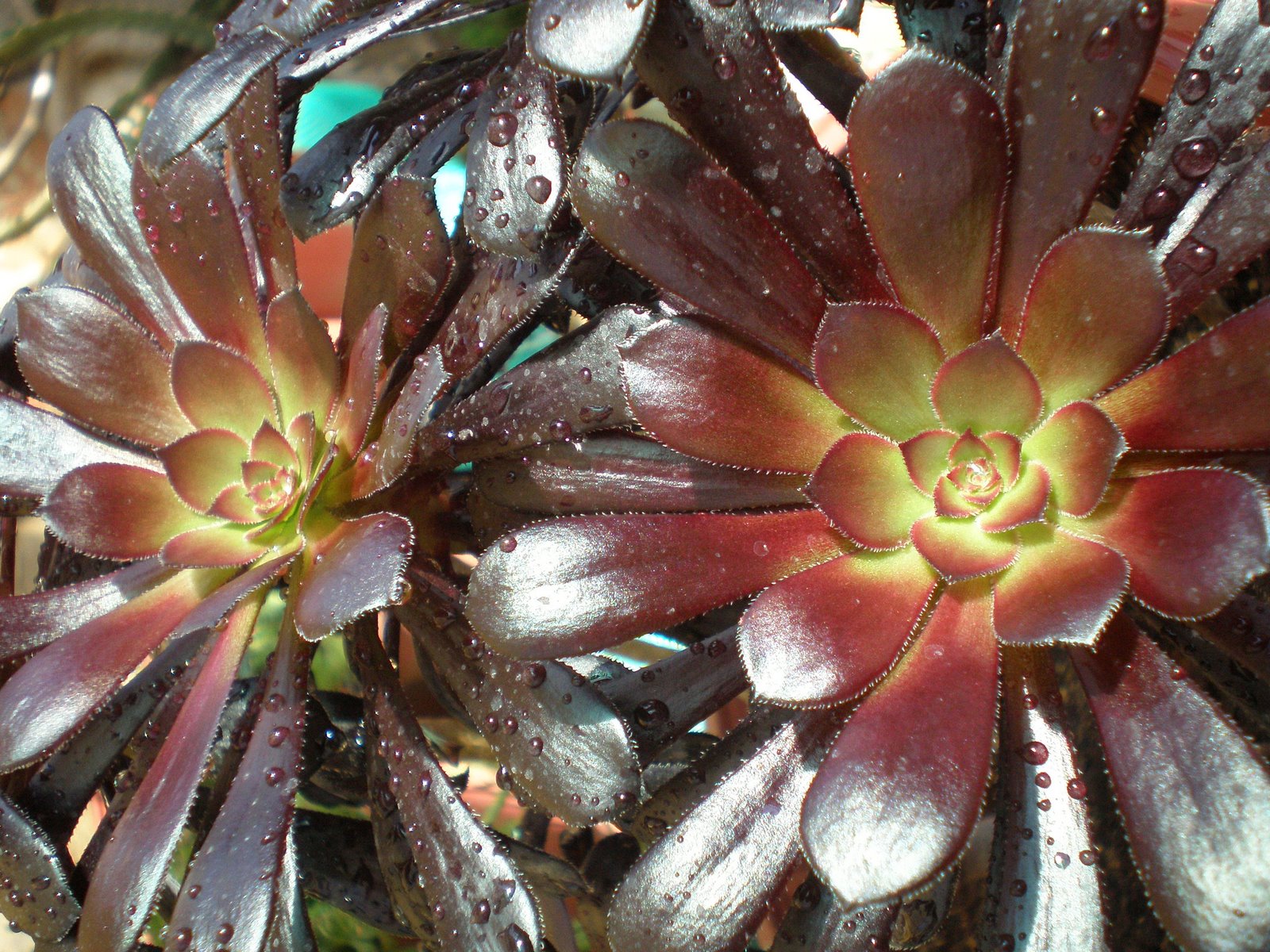 [P7020463.JPG]