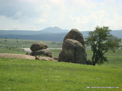 Las Piedrotas de Tapalpa - Sur