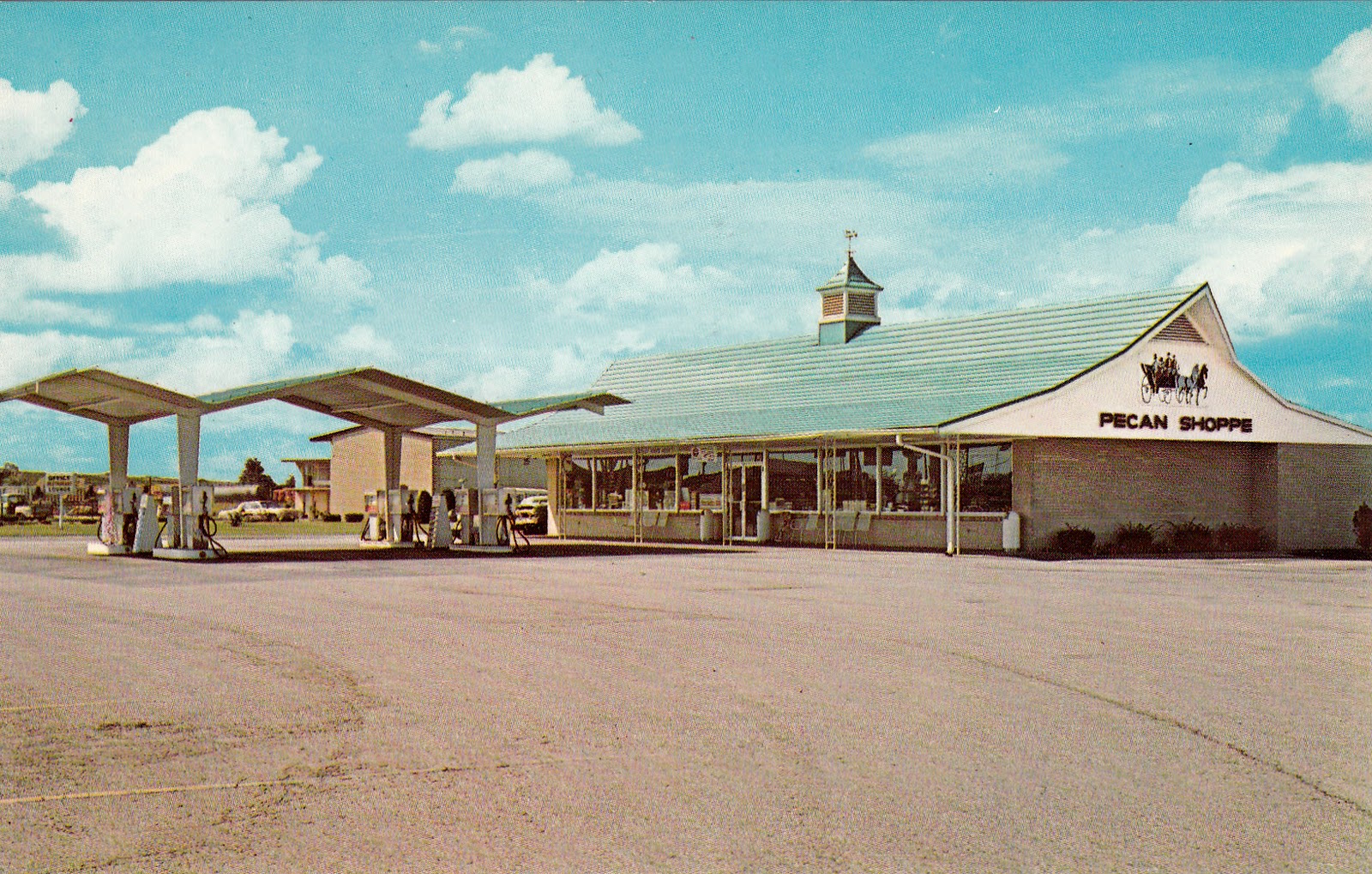 David Cobb Craig Selections From My Collection of Stuckey's Post Cards