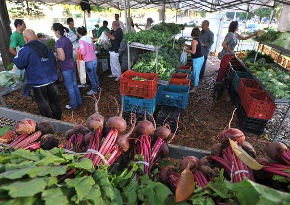 [cooperativas+de+orgânicos.JPG]