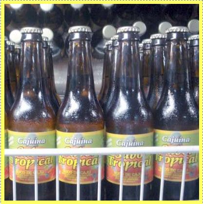 [cajuina+tropical.JPG]