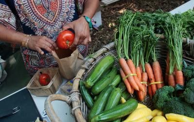 [alimentos_organicos.jpg]
