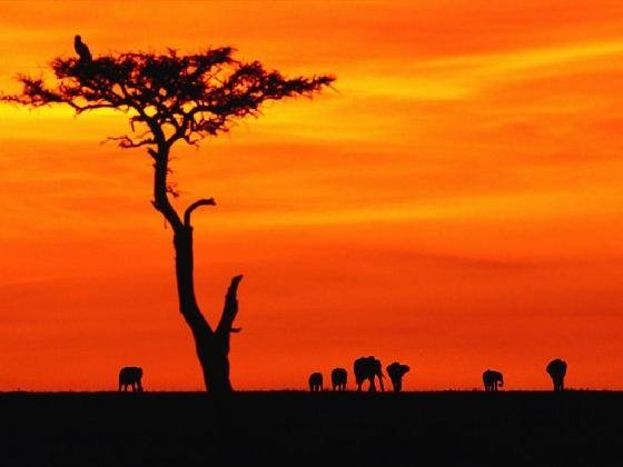 [blog+por+do+sol.bmp]