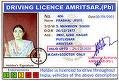 9876543210123456 bob smith. Driving licence Турция. India Driver License. Azerbaycan Driving License