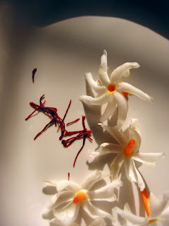 IMG 6475