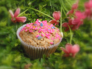 SIMPLE, EVERYDAY BROWN SUGAR MUFFINS...with walnuts & chocolate chips