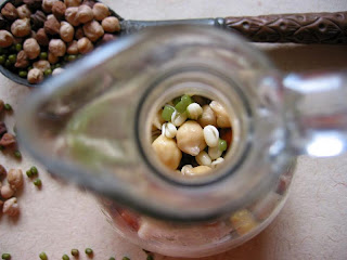 BEAN THERE, DONE THAT...CLICKETY CLICK! 22 IMG 1522