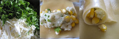 Canneloni with Potatoes, Cottage-cheese & Sweetcorn... lasagna on a roll 6 collage6