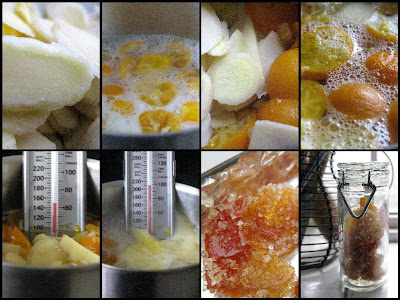 OOOOPS, I DID IT AGAIN! CRYSTALLISED GINGER & TANGERINES 27 GINGER+CANDIED2