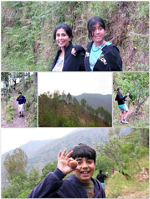 A TRIP TO THE HIMALAYAS...a recipe for happiness! 51 Ramgarh17