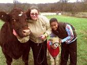 Photo of students with a cow and sheep