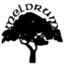 The Meldrum Memo