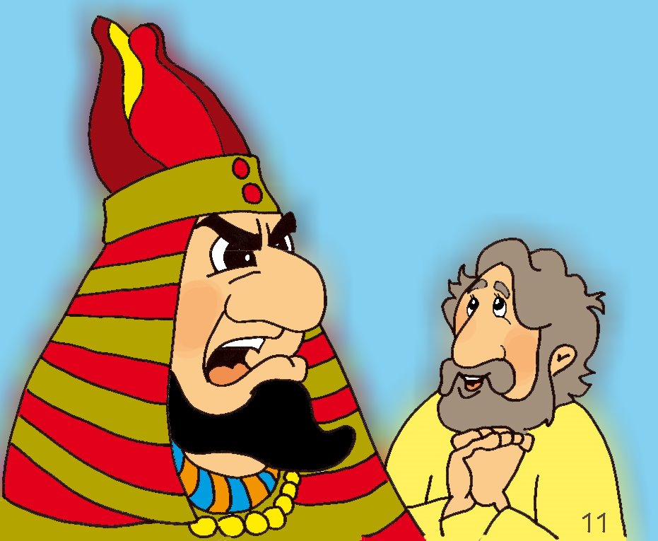 [figura11colorido.jpg]