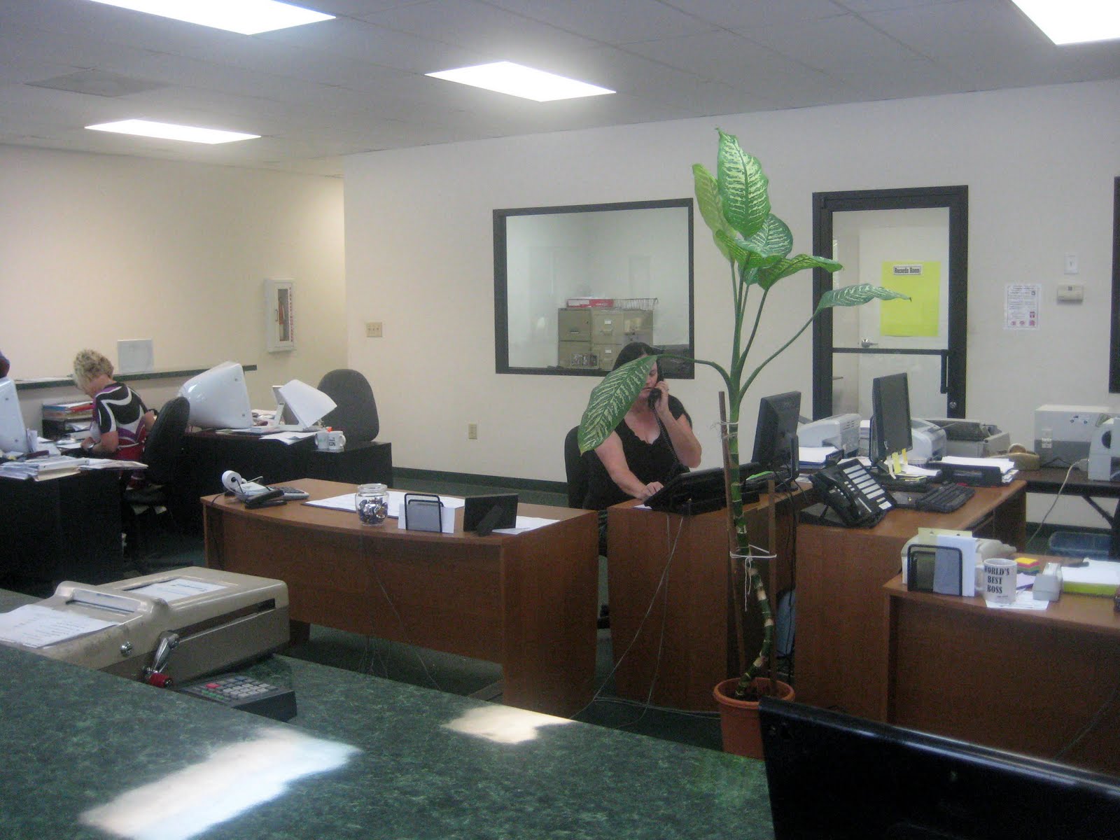 Being Bruce NBCC Ribbon Cutting at The Brunswick Beacon