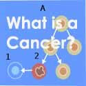 What is a cancer?