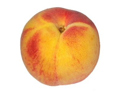 apricot (Prunus armeniaca) -