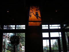 Owl Lantern at Wilderness Lodge