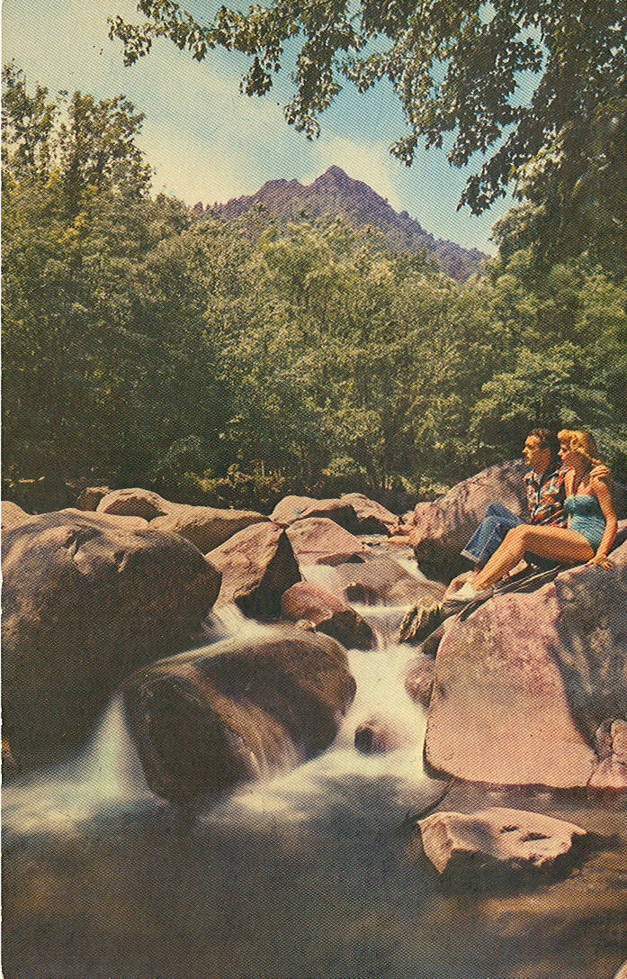 Vintage Travel Postcards Great Smoky Mountains National Park