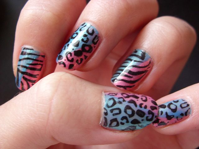 http://3.bp.blogspot.com/_5s0BCAjqGDY/TLBDcKHYTbI/AAAAAAAAAVM/KFVKSZz5QaY/s1600/k-SN853423.JPG