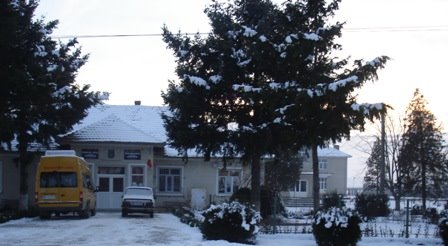 Primaria comunei Rogova