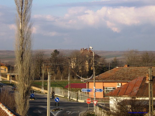 Vedere din centrul comunei Rogova