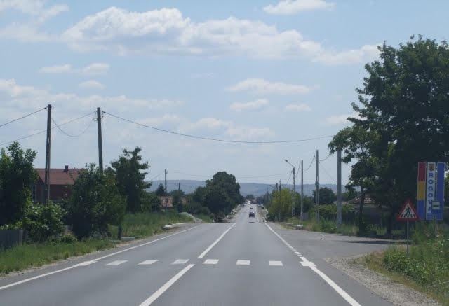 Drumul National DN 56 A  la intrarea in comuna Rogova