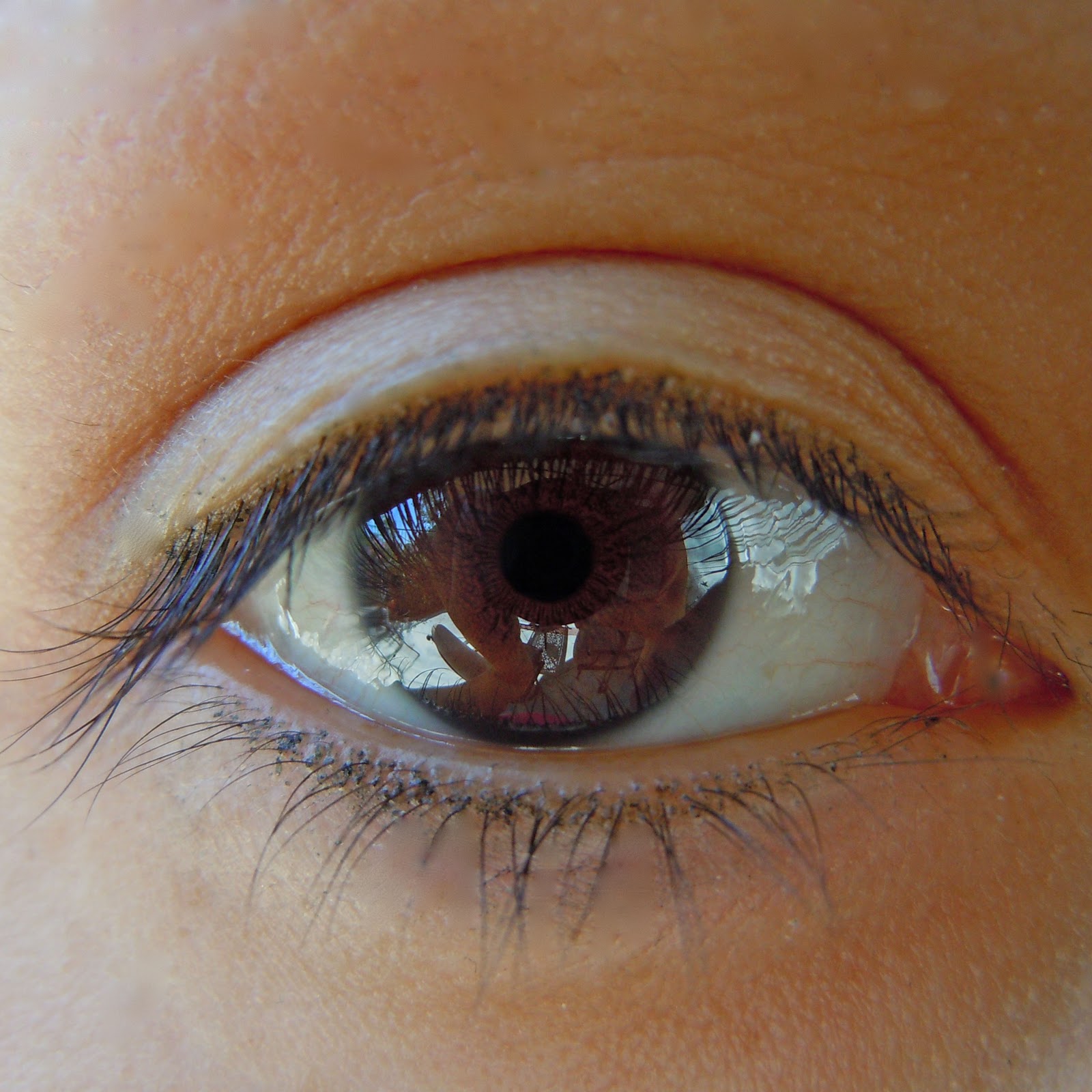 Ashley DLR: Close up Eye