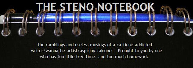 The Steno Notebook