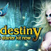 Sorteio: Dragon's Call um Kit para iniciantes