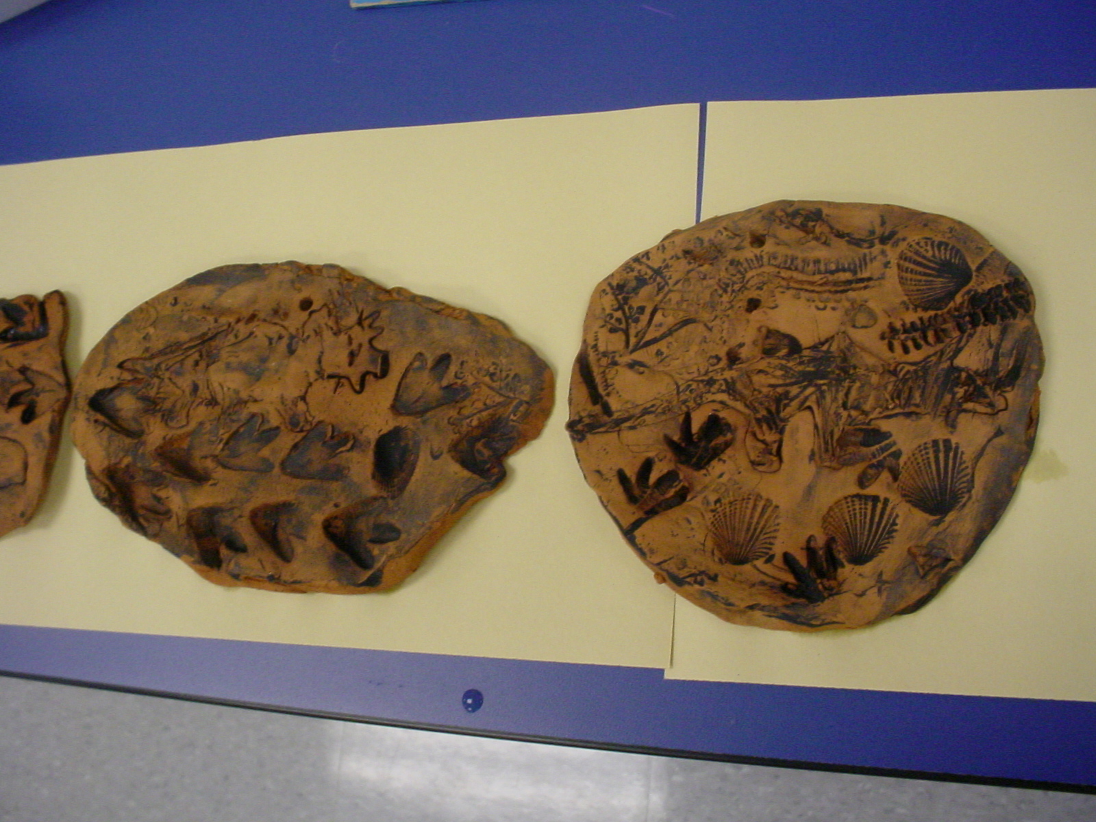 Mrs. Knight's Smartest Artists kindergarten clay fossils