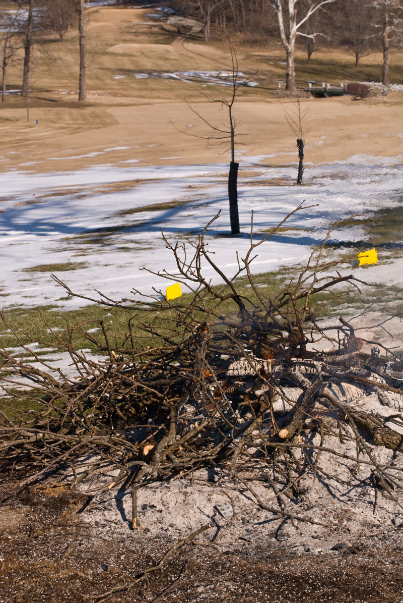 Lake Valley Grounds Removing the big stump