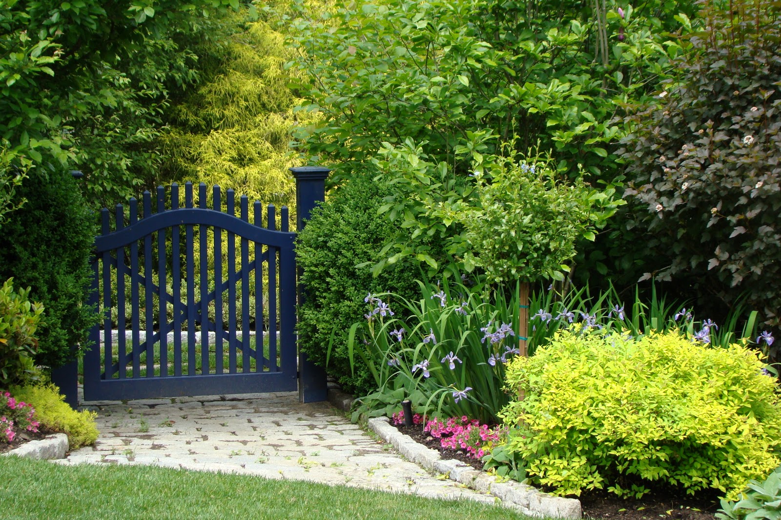 Fine Gardening Magazine Website And My Blue Gate Grass Steps