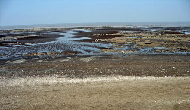 Daman beach tide out
