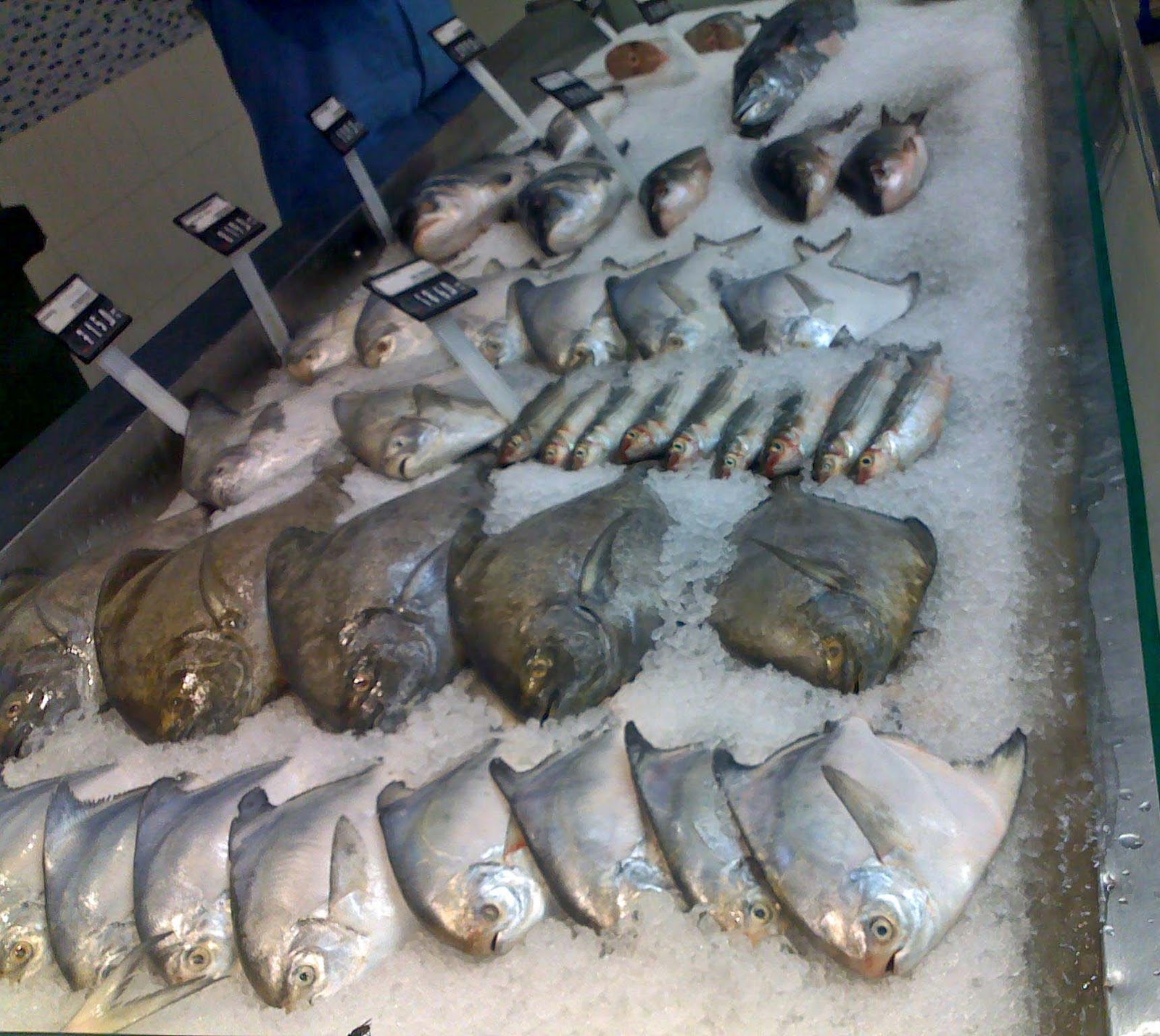 Stock Pictures Frozen fish at supermarket