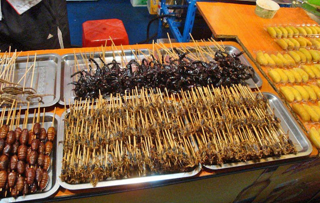 roasted insects on skewer