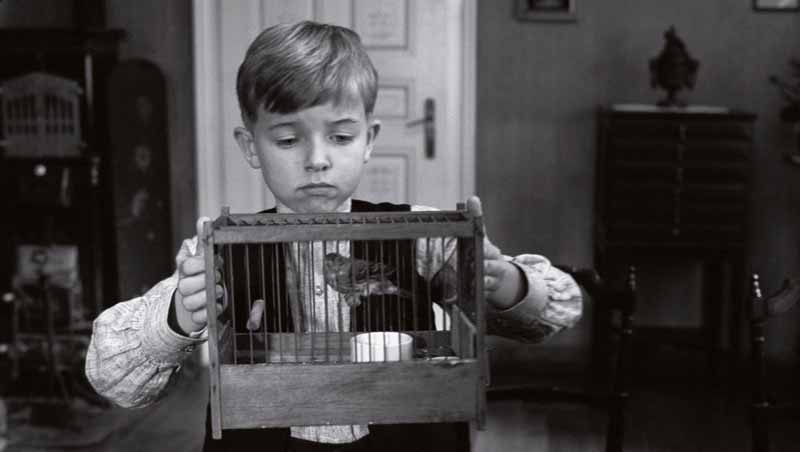 [the-white-ribbon1.jpg]