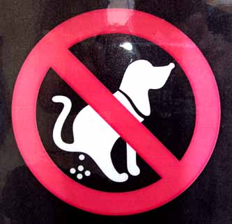 Channel 666: beissender Affe vs. kackender Hund