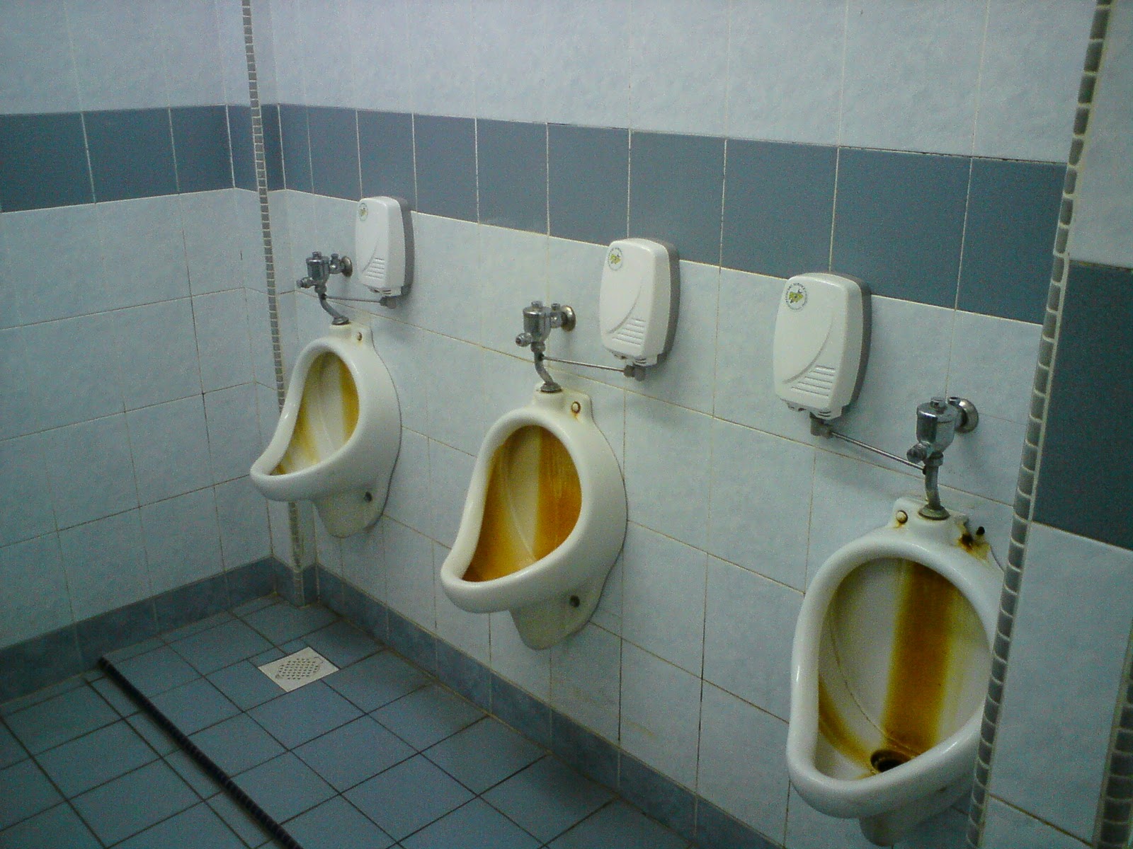 Какие туалеты в школе