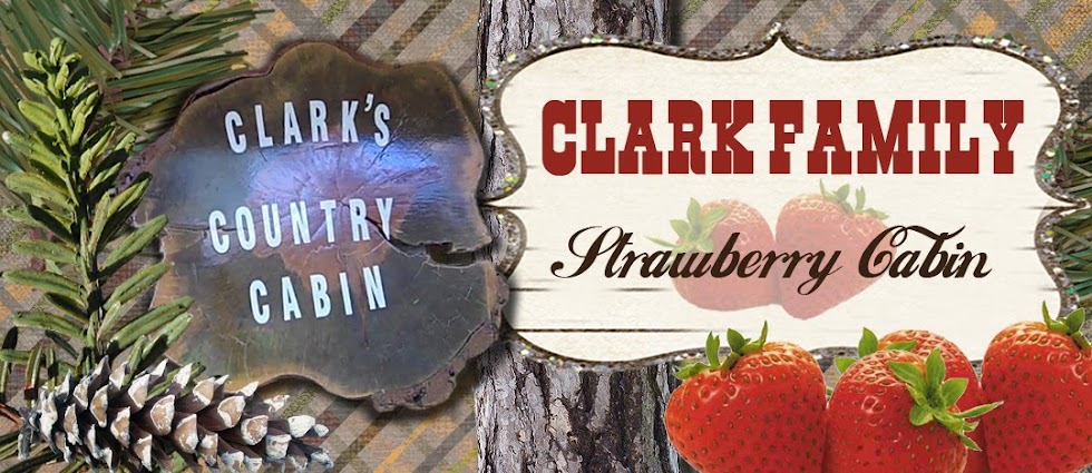 clark family strawberry cabin