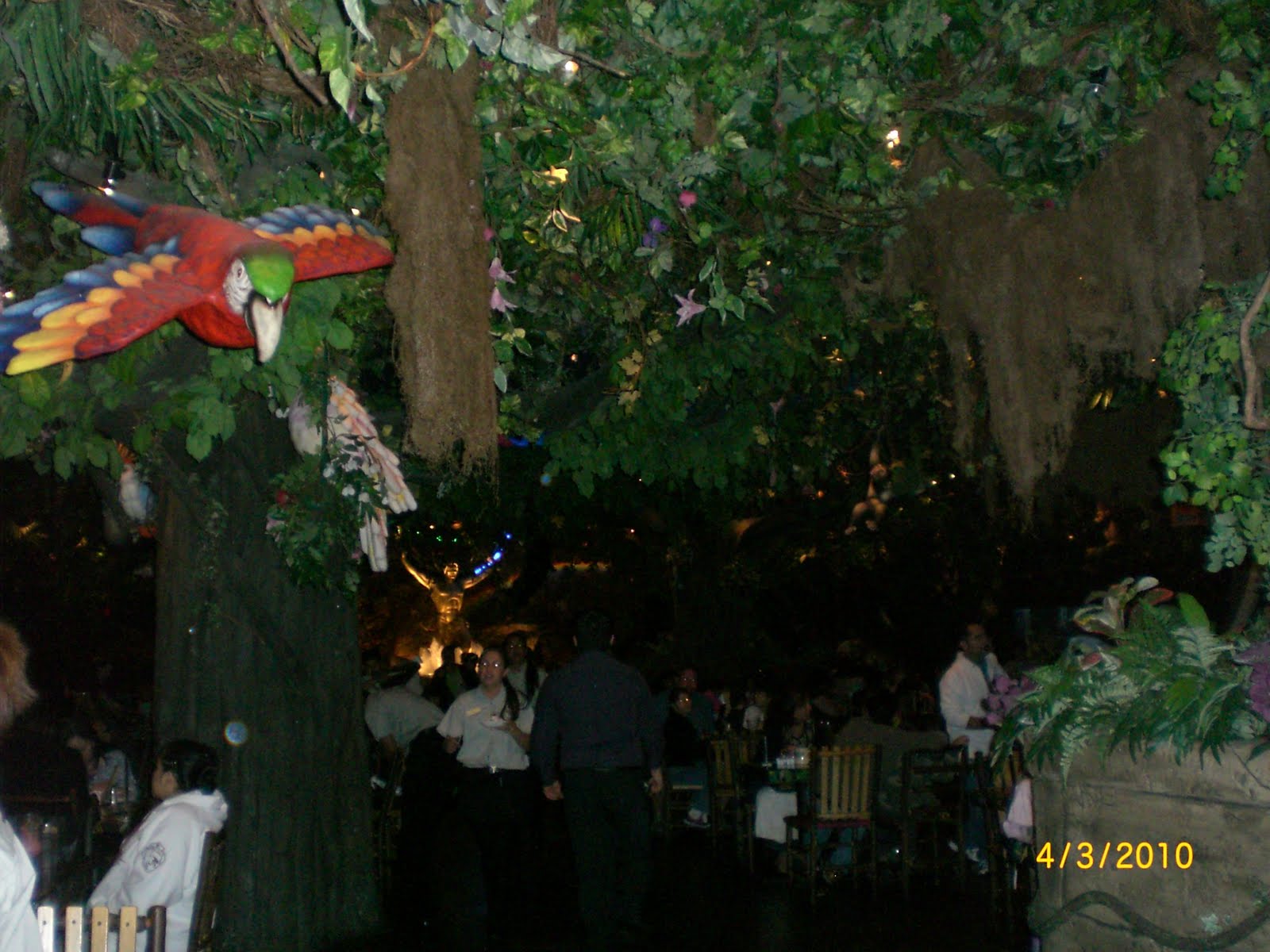 Visiting California: Rainforest Cafe