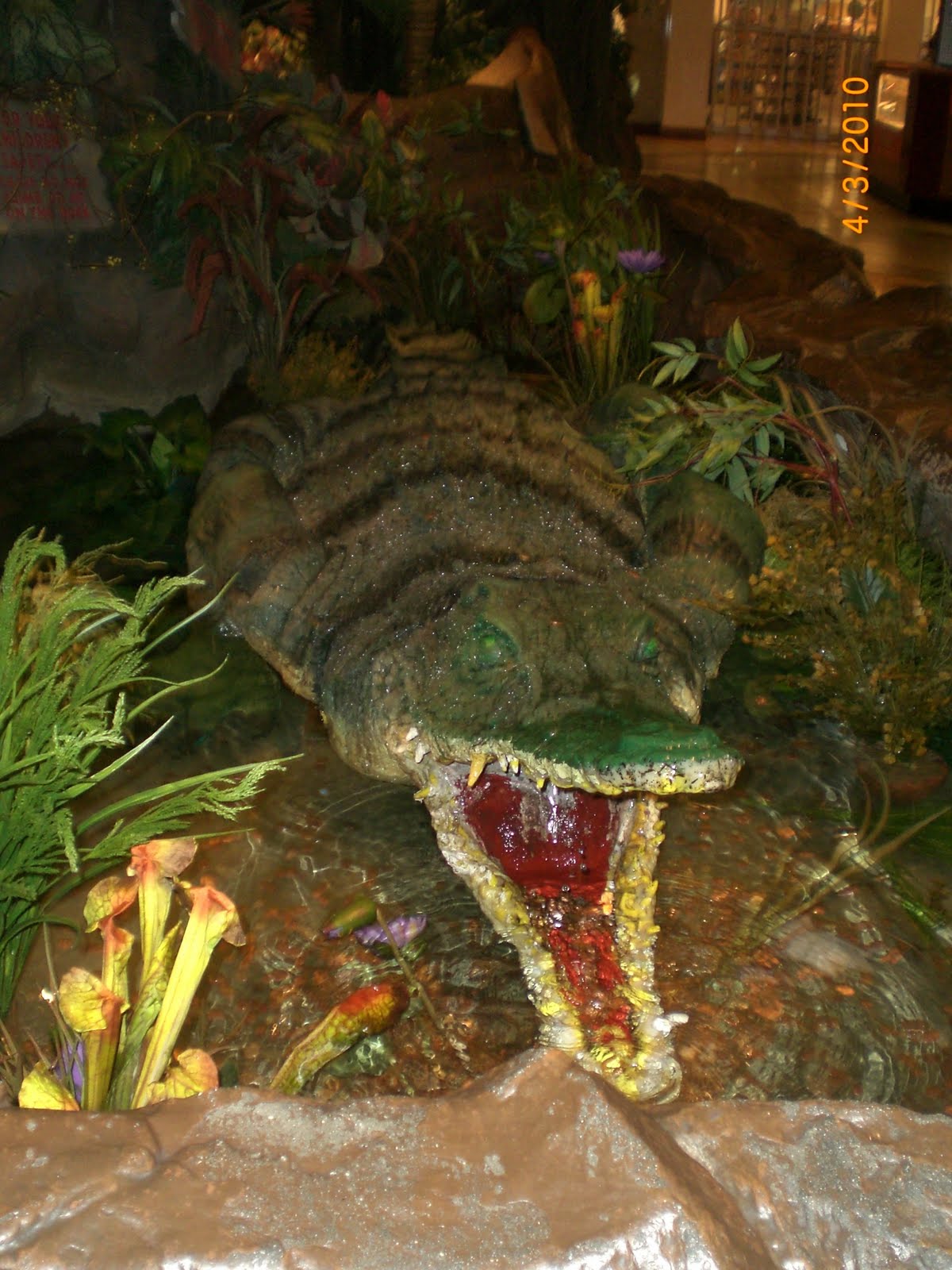Visiting California Rainforest Cafe