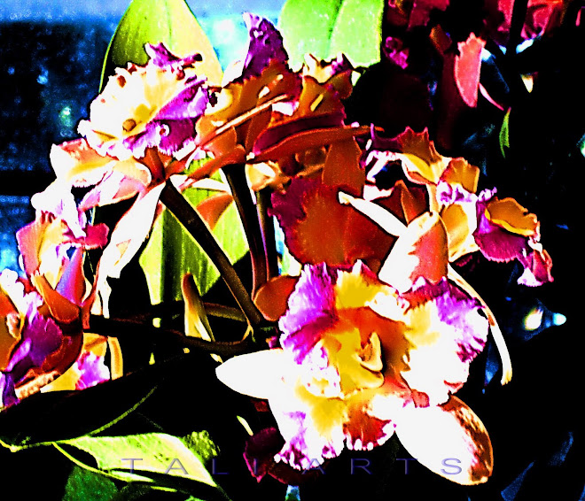 Orchids, Longwood Gardens, Penn