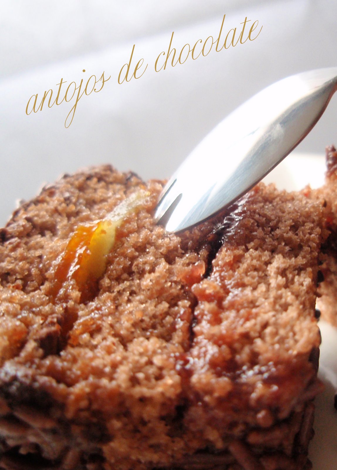 [antojos+de+chocolate.jpg]