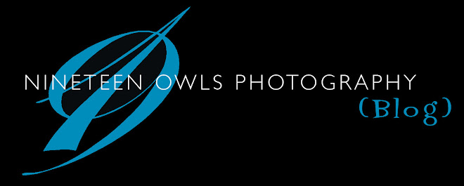 Nineteen Owls Photography